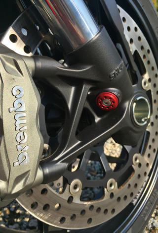 Illustration for article titled Thoughts on the Ducati 959 Panigale and matters of the heart